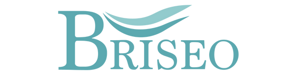 Briseo